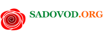 Sadovod промокод, купон