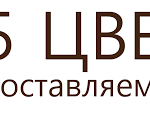 5 ЦВЕТОВ купон: Бесплатная доставка по СПБ!