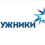 ЛУЖНИКИ промокод: Получите 15% стоимости билета обратно!