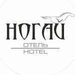 Промокод НОГАЙ Отель Казань: Скидка 2500 р. на бронирование отеля! НОГАЙ Отель Казань промокод